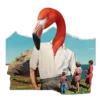DRAKE_2160x DRAKE